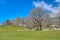 Spring landscape in the Alps with fresh green mountain pastures and snow-capped mountain tops in the background