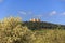 Spring landscape: Alta Murgia National Park.