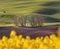 Spring landscape with amazing chapel in green fields at sunset