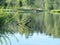 Spring landscape with a beautiful calm river, green trees and grass on the river bank, peaceful reflection in the river water