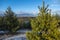 Spring landscape with a beautiful lake with fir trees and last snow against a cloudy sky