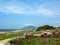 Spring landscape with blooming wild pink flower carpet and curve path on the Atlantic Ocean coast, Portugal, Europe