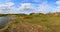 Spring landscape of a closed sand pit