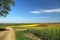 Spring landscape. Cultivated colorful raps field in Germany