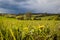 Spring landscape with dark sky and light before rain