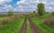 Spring landscape with dirty road