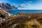 Spring landscape with dwarf birch, sea coast and mountains