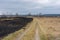 Spring landscape with earth road and burnt grass