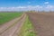 Spring landscape with an earth road leading to an ancient burial mound