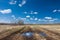 Spring landscape on the field