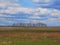 Spring landscape in the field with birches and clouds.