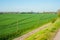 Spring landscape of fields in Germany, field road leading into the distance