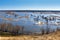 Spring landscape - flood in river valley