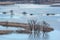 Spring landscape - flood in river valley