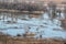 Spring landscape - flood in river valley of the Siverskyi Seversky Donets with lonely boatman in the water