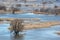 Spring landscape - flood in river valley of the Siverskyi Seversky Donets, meadows, trees, birds