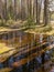 Spring landscape with a flooded picnic spot on the shore of the lake