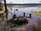 Spring landscape with a flooded picnic spot on the shore of the lake