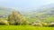 Spring landscape: Flowering slopes of the Carpathi