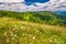 Spring landscape with flowery meadows and the mountain peaks