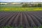 Spring landscape with freshly dug agricultural field with furrows