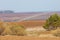 Spring landscape. Freshly plowed field. hilly terrain. trees wit