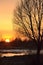 Spring landscape with a golden sunset sky reflected in cold water  silhouettes of bare trees and dry grass