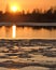 Spring landscape with a golden sunset sky reflected in cold water  silhouettes of bare trees and dry grass