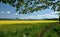 Spring Landscape, Great Fatra, Slovaka