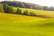 Spring landscape. Green farmlands lit with bright sunlight