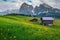 Spring landscape with green fields and yellow dandelions, Dolomites, Italy