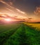 Spring landscape green road lush grass on background fields, hills and dramatic colorful sunset sky and clouds