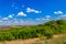 Spring landscape with green trees, meadows, fields and blue sky