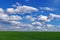 Spring landscape: green wheat field and blue sky with fluffy clouds. Beautiful background