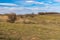 Spring landscape in hilly rural area, central Ukraine