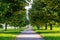 Spring landscape, linden alley, footpath in nature park, Slovenska Bistrica