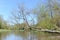 Spring landscape with a Liwiec river and green trees and blue sky on a sunny day in Poland