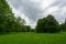 Spring landscape with meadow, flowering chestnut and other trees