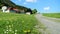 Spring Landscape with A Meadow of Wild Yellow and White Flowers and A Pathway in The Sunlight