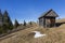 Spring Landscape in the mountains withpine trees and the wooden shepherd cottage, Carpathian mountains