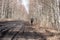 spring landscape with muddy swamp, forest road, spring, lonely traveler on a dirty wet road