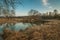 spring landscape. narrow river with marshy banks overgrown with reeds