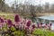 Spring landscape near the pond