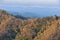 Spring Landscape Newfound Gap