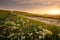 Spring landscape with pathway in the hills of Val d'Orcia