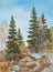 Spring landscape pine and birches trees. Original oil painting.