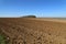 Spring landscape. Plowed and sown field in the spring