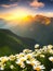 Spring landscape poppy field on background mountains with. Sunset sky, wildlife