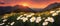 Spring landscape poppy field on background mountains with. Sunset sky, wildlife