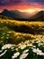 Spring landscape poppy field on background mountains with. Sunset sky, wildlife